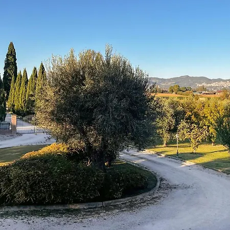 Awesome In With Swimming Pool Apartamento Cannara